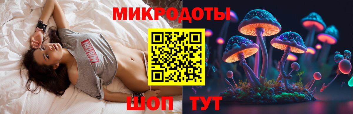 где продают наркотики  Псилоцибиновые грибы Psilocybe  Вход с VPN  Дмитров 