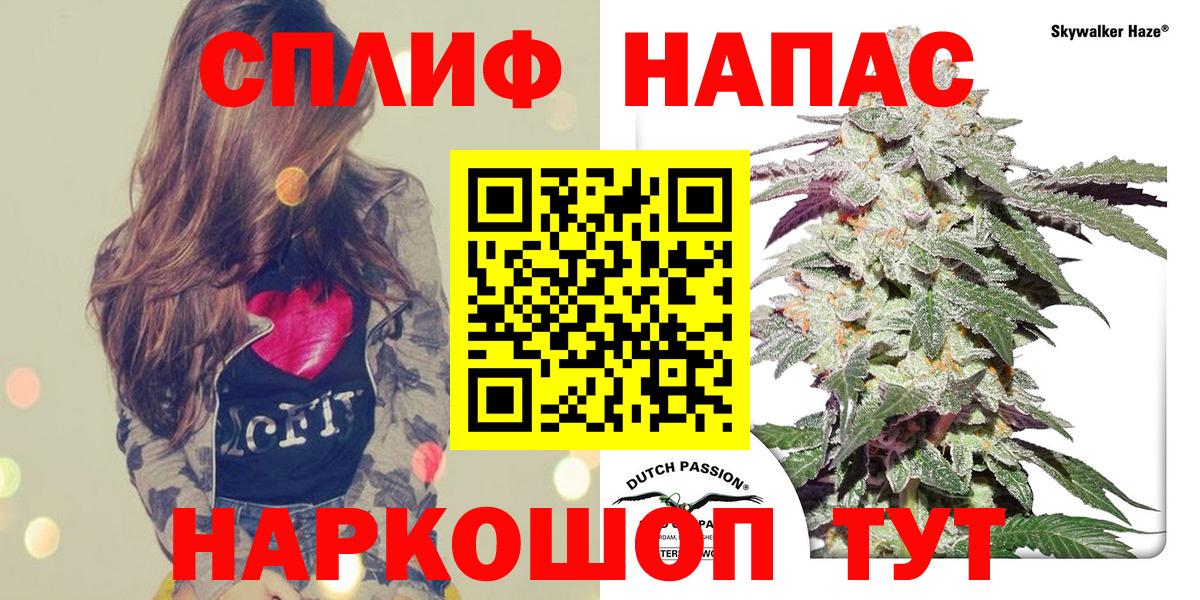 Бошки Шишки планчик  Бошки марихуана ГИДРОПОН  Дмитров  МАРИХУАНА гибрид  Вход с VPN 